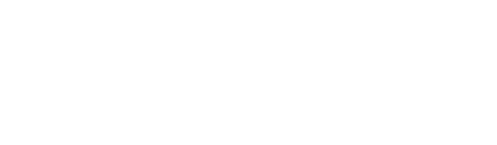 Insurance Leader Group